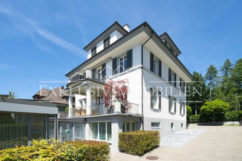 A Masterpiece of Art Nouveau - Villa of the Extra Class with Pavilion (2)