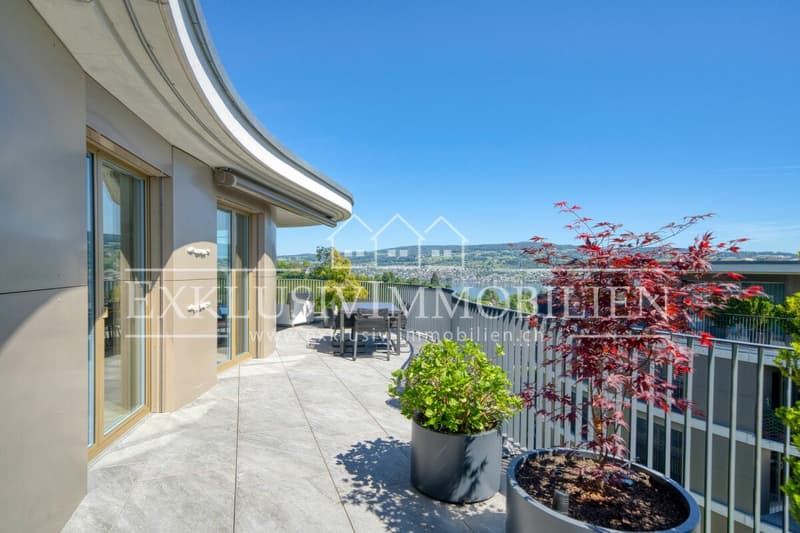 Eleganz, einzigartige Architektur und Blick über den Zürichsee (1)