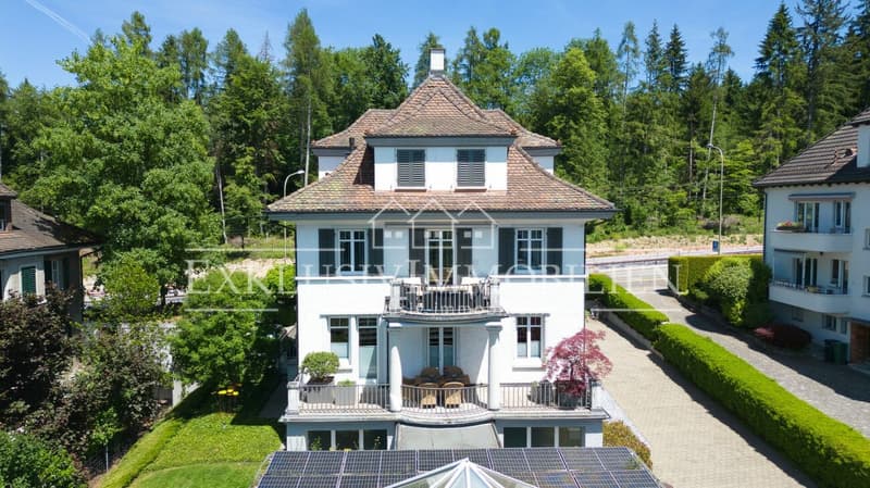 Jugendstil in seiner schönsten Form - Exklusive Villa mit Pavillon (1)