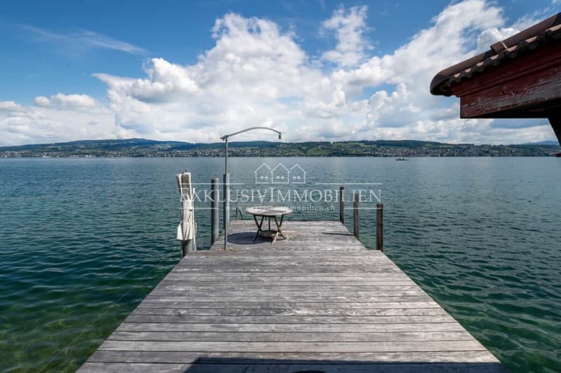 Eine Jugendstilvilla mit Seltenheitswert - drei Wohneinheiten & Bootshaus (1)