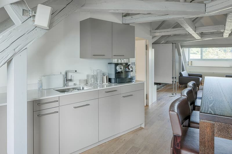Villa historique Windegg (5)