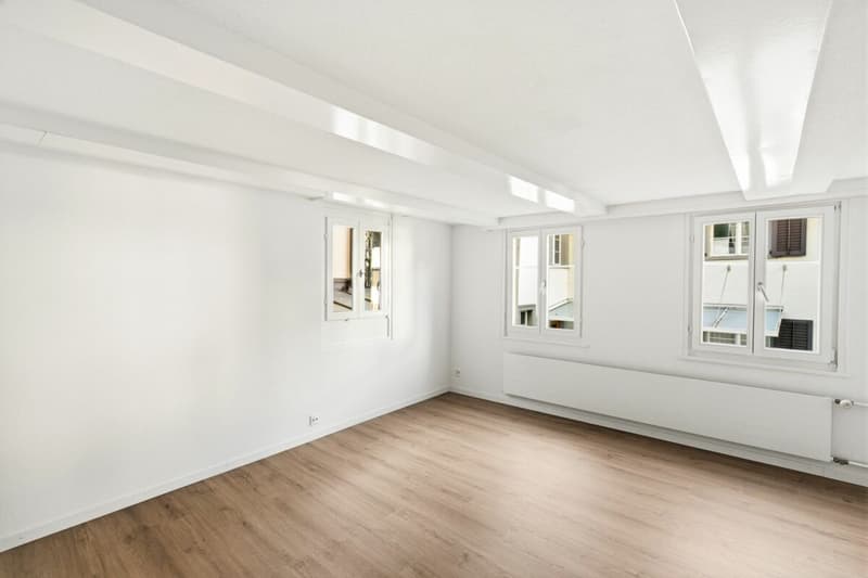 Charmant appartement du vieux quartier (6)