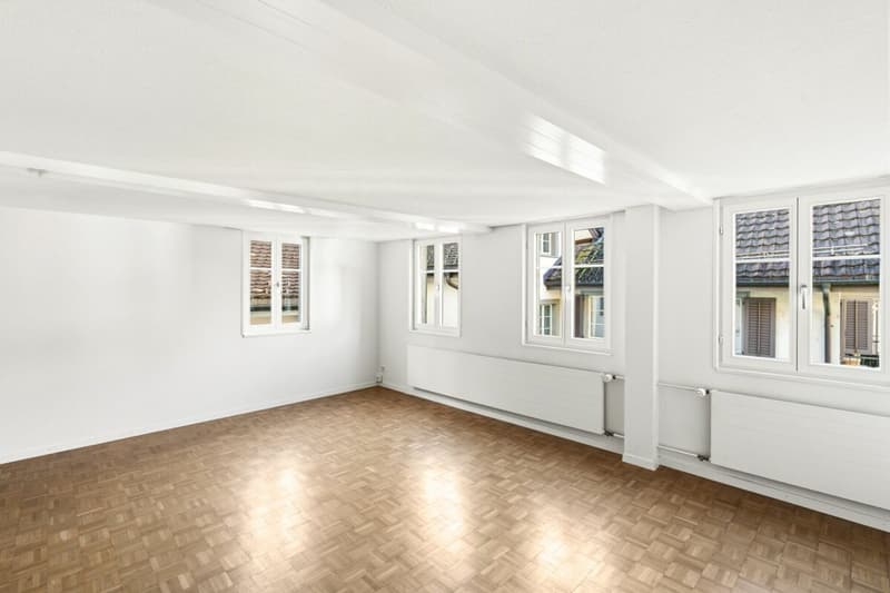 Charmant appartement du vieux quartier (4)