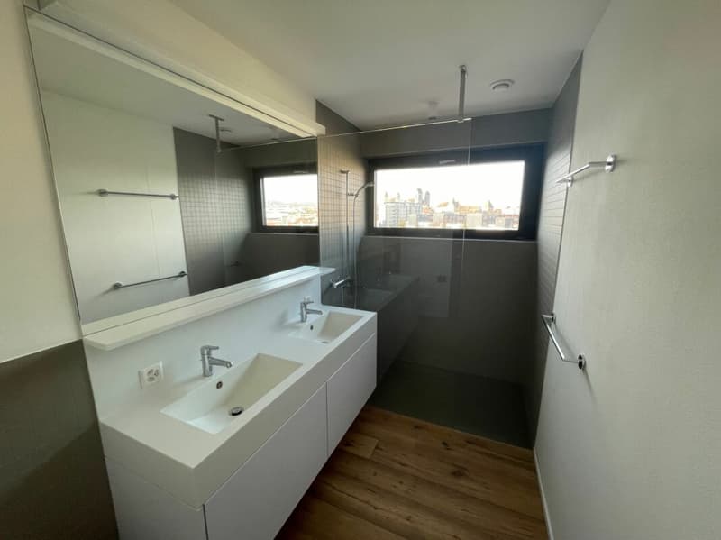 Zentrale Attika-Wohnung in Rapperswil (7)