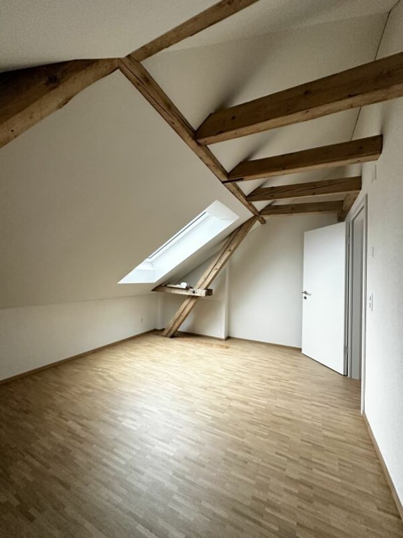 Modern attic apartment with loggia in central location (2)