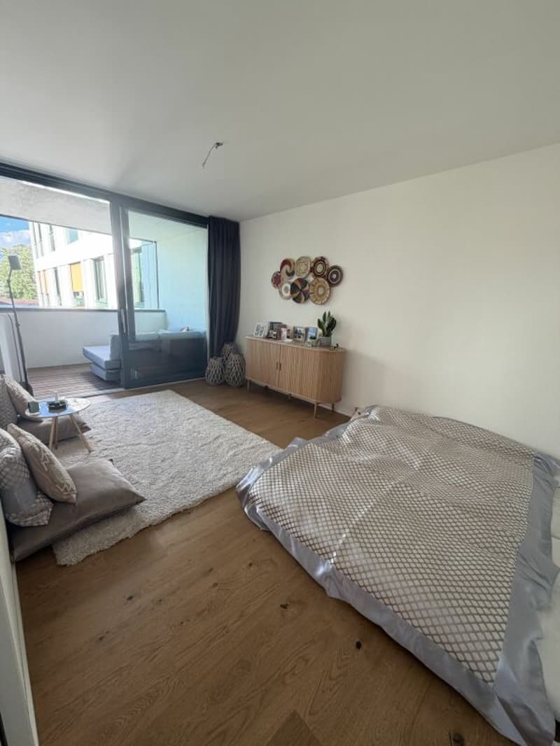 Appartement moderne 4.5 pièces à Siebnen (5)