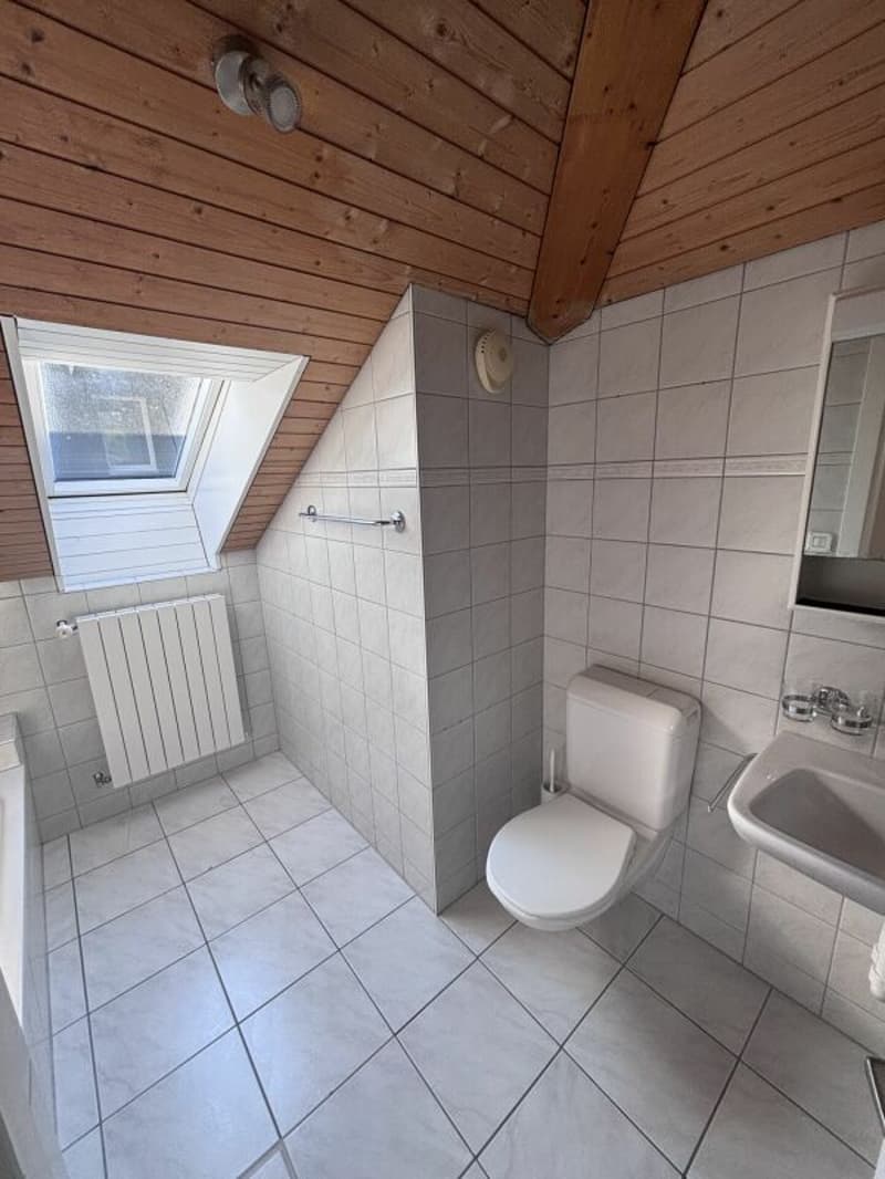 Charming 2-room attic apartment near the train station (5)