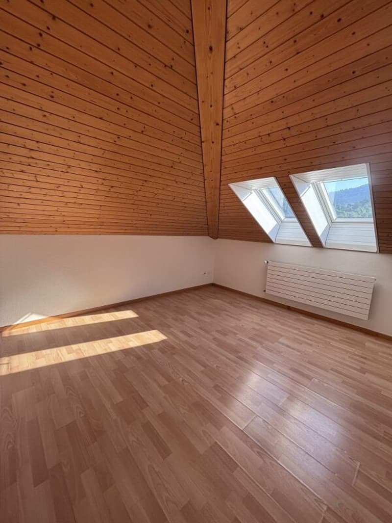 Charming 2-room attic apartment near the train station (4)