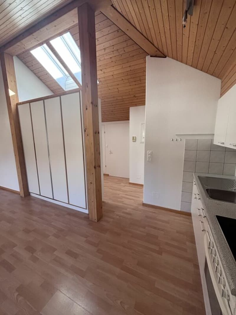 Charming 2-room attic apartment near the train station (2)