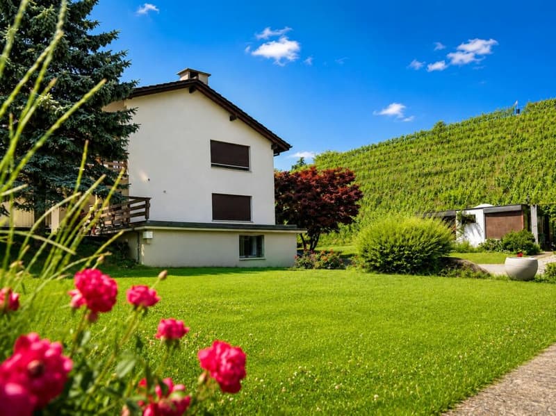 Idyllic Family Paradise (1)