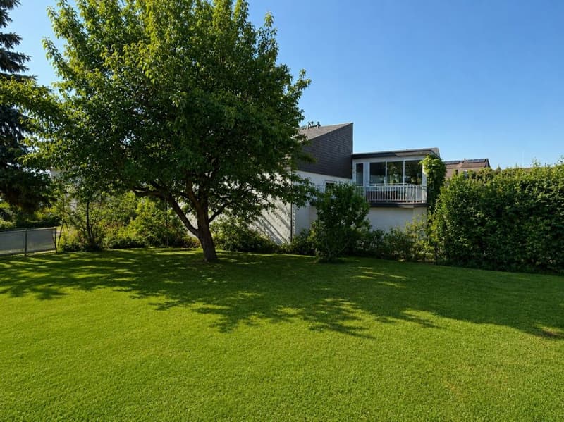 Idyllic Family Paradise (3)