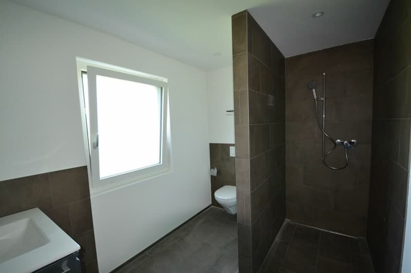 Living in the Green - modern 4.5-room apartment in Schübelbach (6)