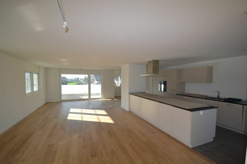 Living in the Green - modern 4.5-room apartment in Schübelbach (2)