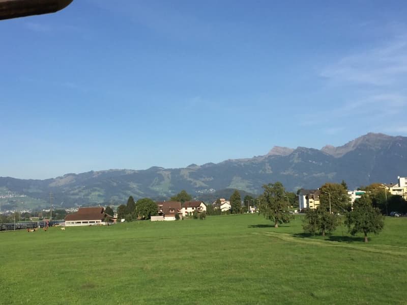 Living in the Green - modern 4.5-room apartment in Schübelbach (7)