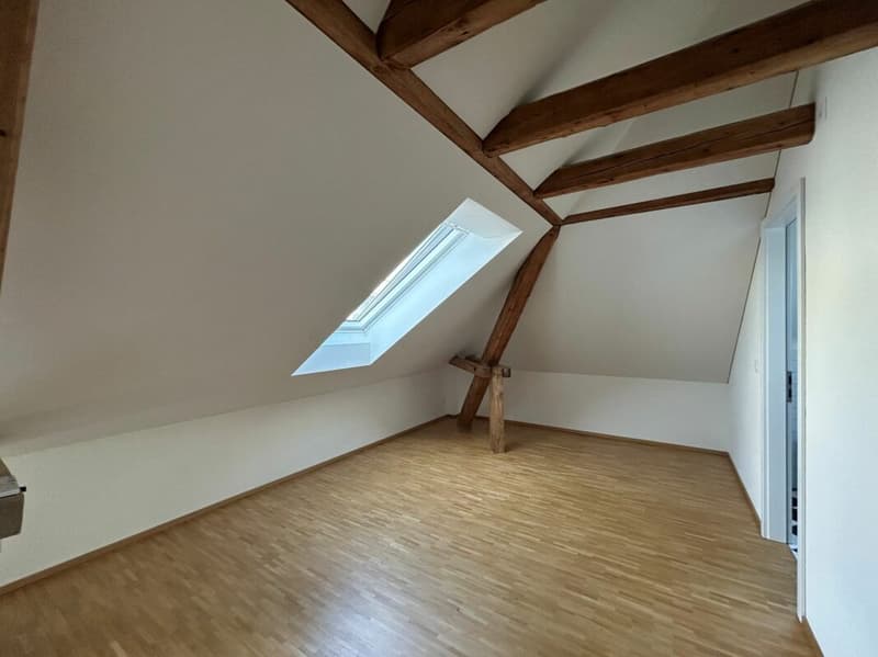 Moderne Dachwohnung mit Loggia an zentraler Lage (6)