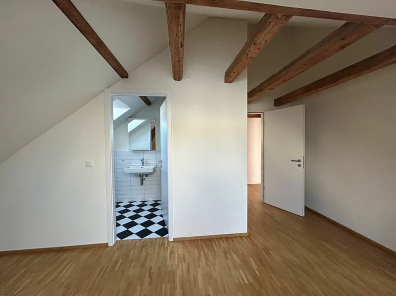 Moderne Dachwohnung mit Loggia an zentraler Lage (5)