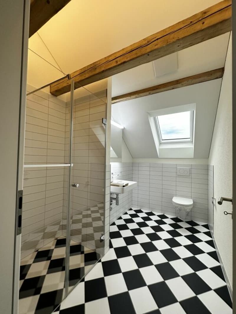 Moderne Dachwohnung mit Loggia an zentraler Lage (3)