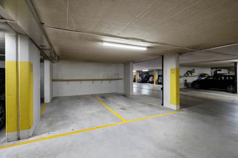 4½-Zimmerwohnung für alle, die Zentrumsnähe und Natur schätzen (5)