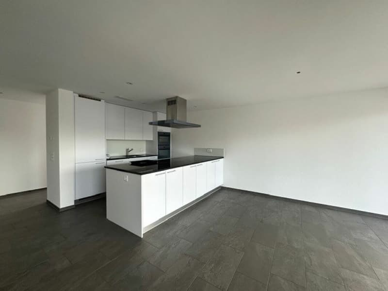 Moderne 3.5 Attikawohnung in ruhigem Rotfarb-Quartier (2)