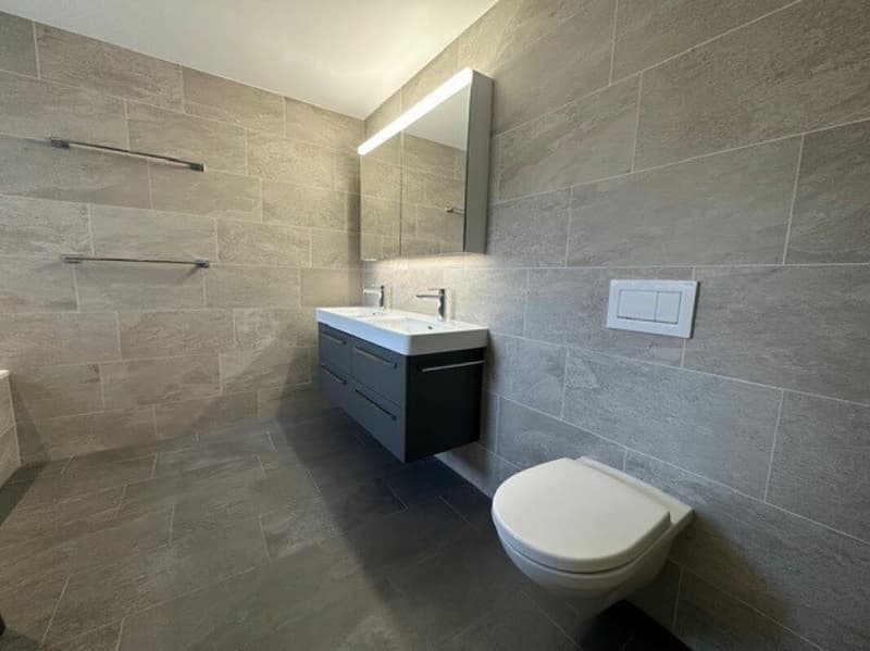 Moderne 3.5 Attikawohnung in ruhigem Rotfarb-Quartier (6)