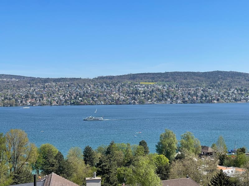 LIVING IN HISTORIC ZURICH ARCHITECTURE WITH A REMARKABLE VIEW OVER LAKE ZURICH (1)