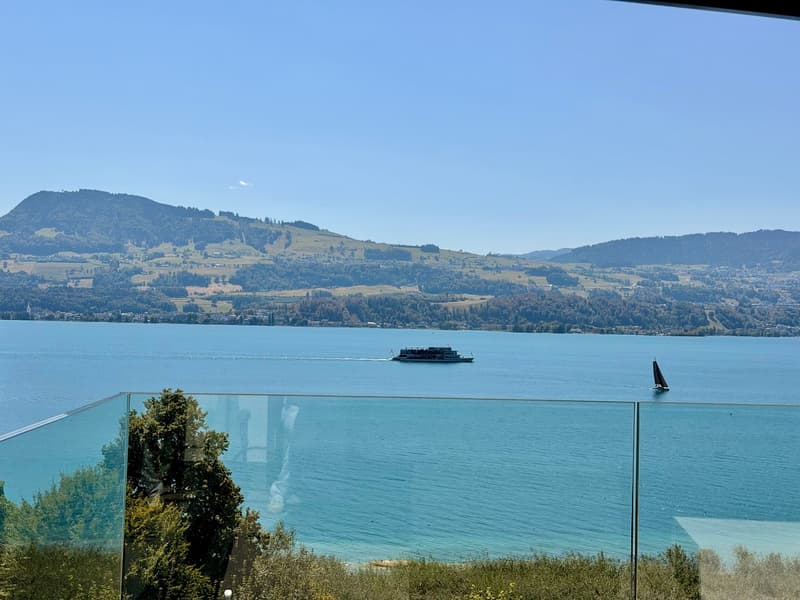 LUXURY LIVING — PENTHOUSE DER SUPERLATIVE — FERIENSTIMMUNG AM REBBERG - GRANDIOSE 360° PANORAMASICHT (2)