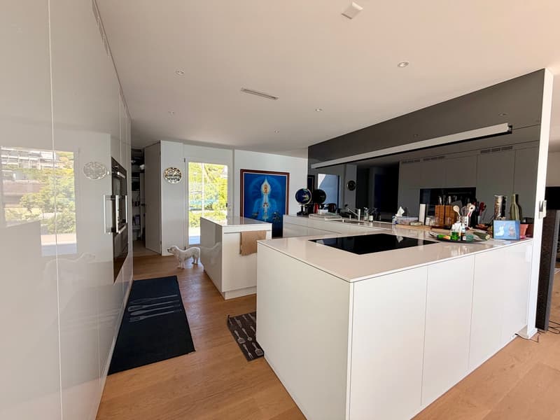 LUXURY LIVING — PENTHOUSE DER SUPERLATIVE — FERIENSTIMMUNG AM REBBERG - GRANDIOSE 360° PANORAMASICHT (14)