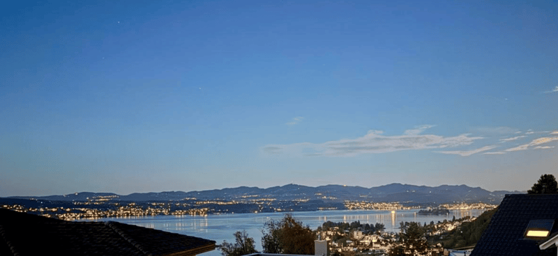 LUXURY LIVING – PANORAMA-VILLA AN BESTLAGE – FERIENSTIMMUNG PUR AM REBBERG (1)