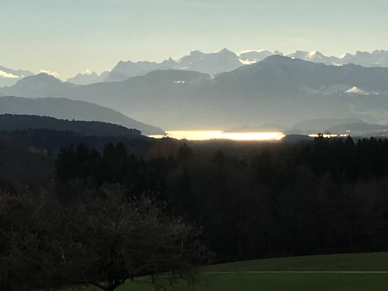 villa-islisberg.ch Exclusive 11.5-room villa with panoramic views, pool, and maximum privacy (12)