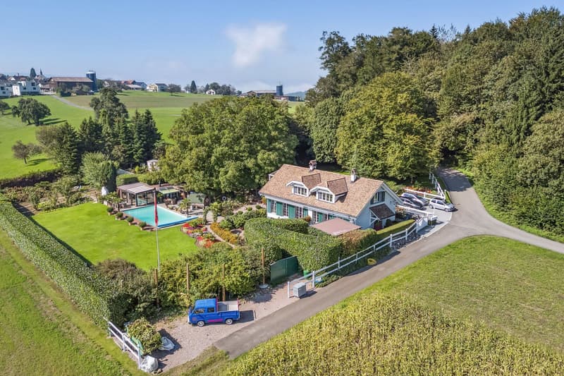 Exclusive 11.5-room villa with Alpine views & pool (8)