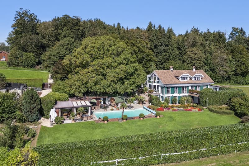 Exclusive 11.5-room villa with Alpine views & pool (11)