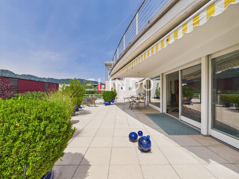 Appartement spacieux avec terrasse et double garage - Adliswil (3)
