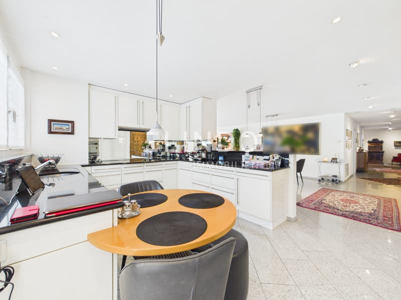 Appartement spacieux avec terrasse et double garage - Adliswil (7)