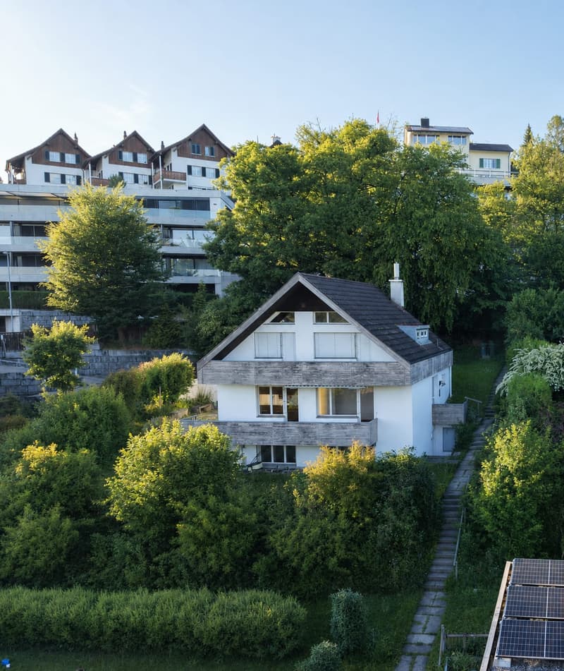 Weitblick & Sonne - Ihr Traumhaus in Birmensdorf ZH (1)