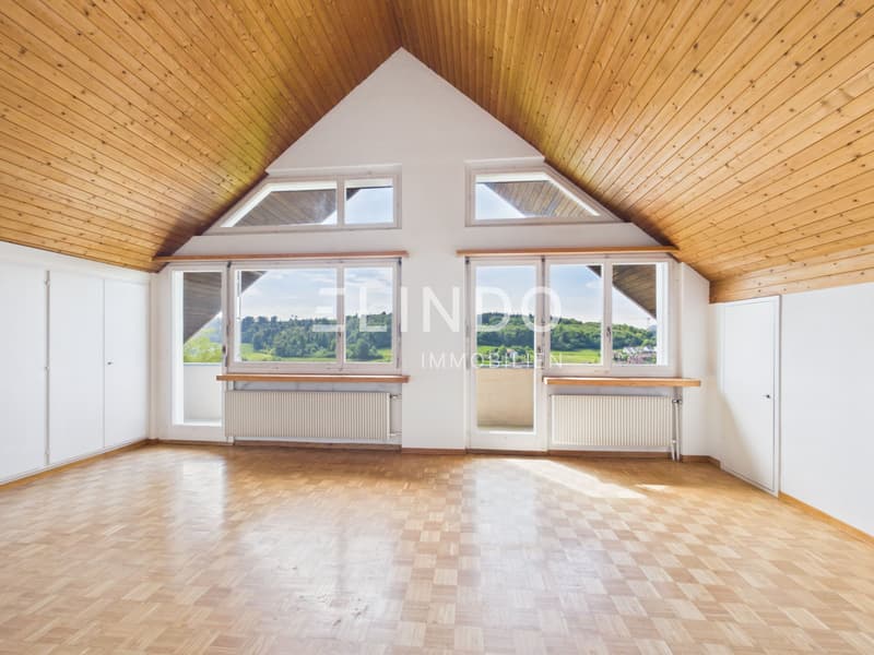 Weitblick & Sonne - Ihr Traumhaus in Birmensdorf ZH (10)