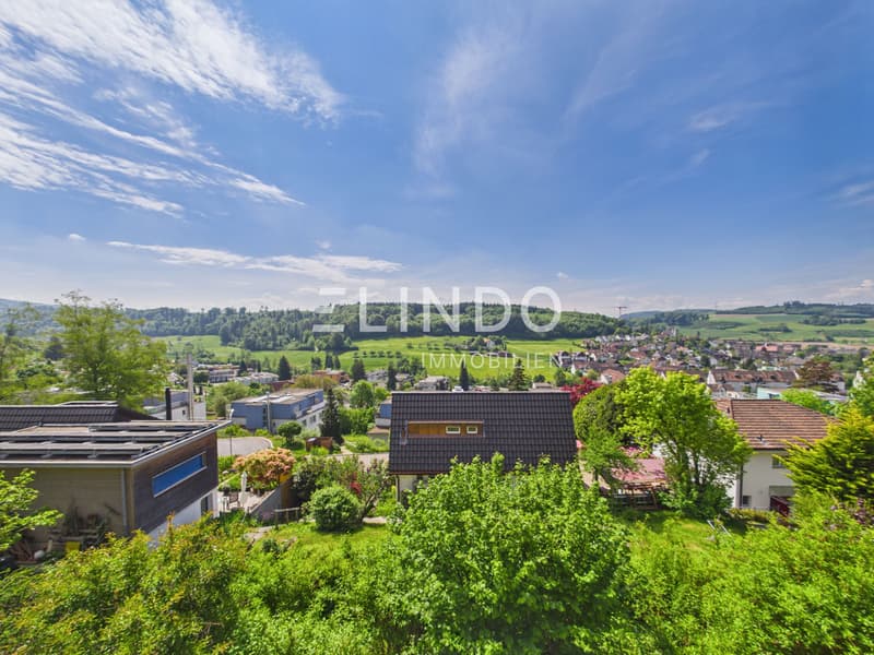 Weitblick & Sonne - Ihr Traumhaus in Birmensdorf ZH (2)