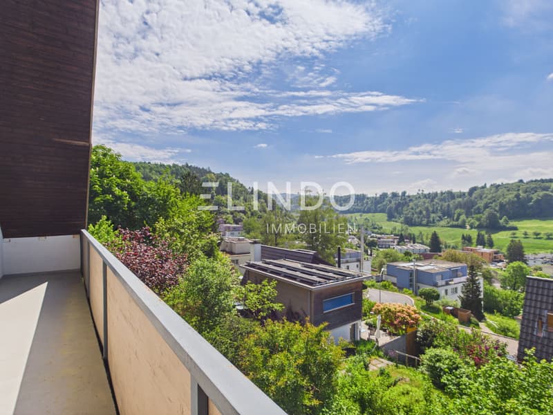 Weitblick & Sonne - Ihr Traumhaus in Birmensdorf ZH (4)