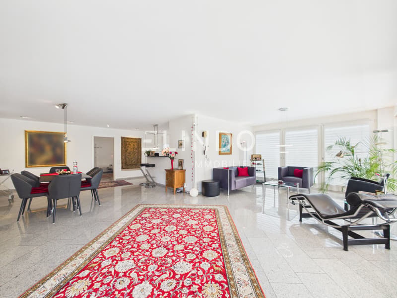 4.5 Zimmer Terrassenwohnung mit 96 m2 Terrasse, Adliswil (9)