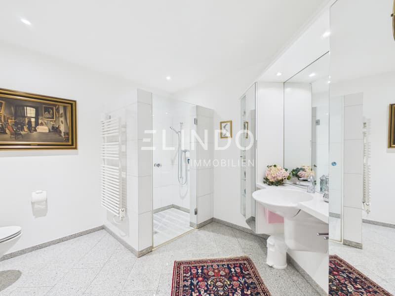 4.5 Zimmer Terrassenwohnung mit 96 m2 Terrasse, Adliswil (6)
