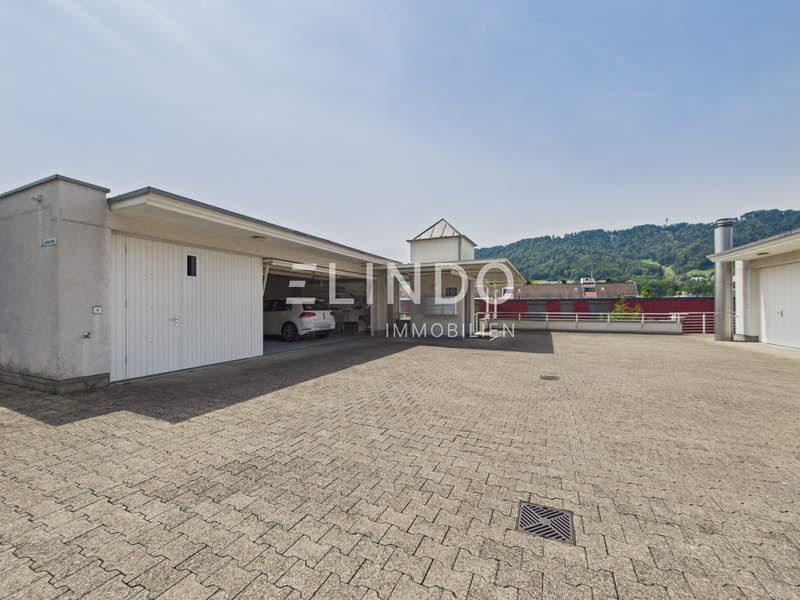 Adliswil | 4.5-Zimmer-Terrassenwohnung (11)