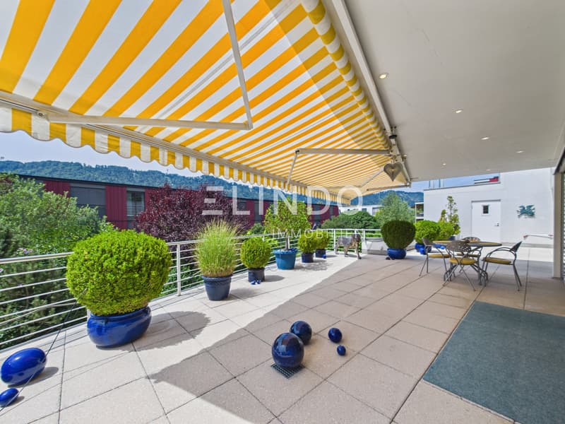 4.5-Zimmer-Terrassenwohnung, 96 m2 Terrasse, Adliswil kaufen (3)