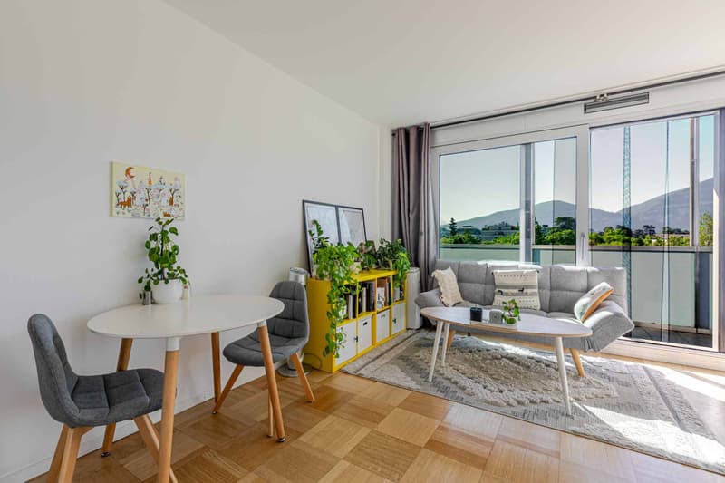 Studio on the 7th floor with balcony and Salève view (2)