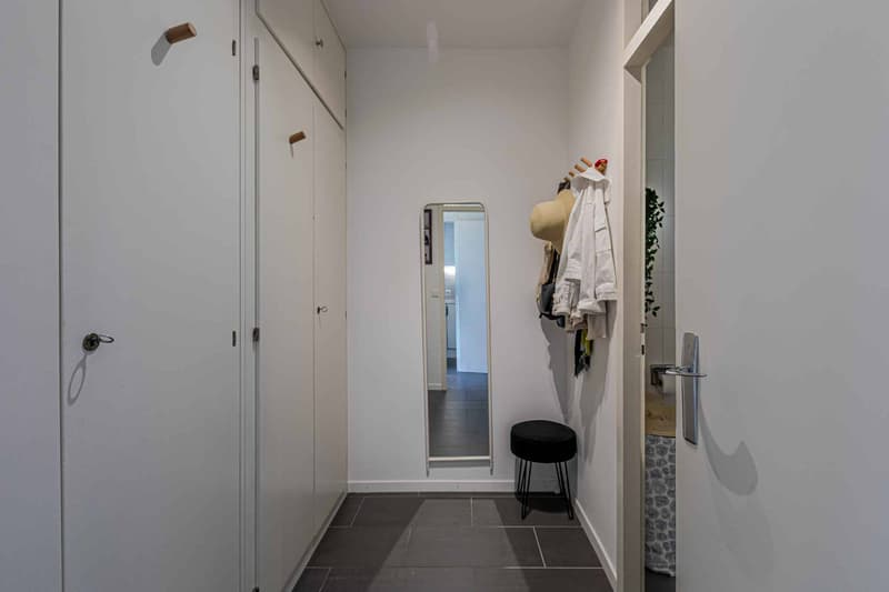 Studio on the 7th floor with balcony and Salève view (6)
