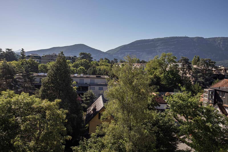 Studio on the 7th floor with balcony and Salève view (9)