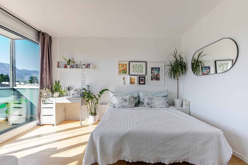 Studio on the 7th floor with balcony and Salève view (3)