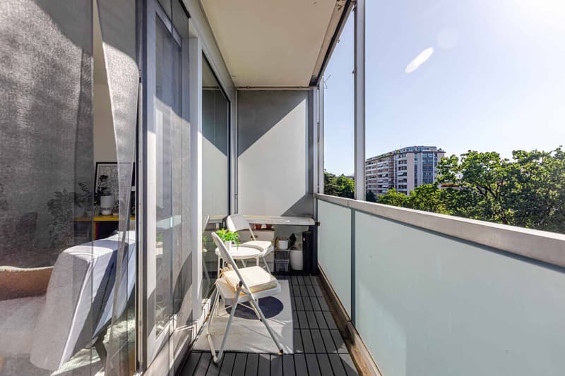 Studio on the 7th floor with balcony and Salève view (8)
