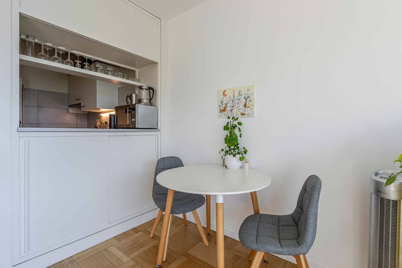 Studio on the 7th floor with balcony and Salève view (4)