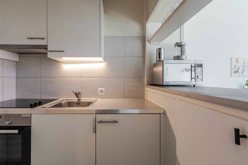 Studio on the 7th floor with balcony and Salève view (5)