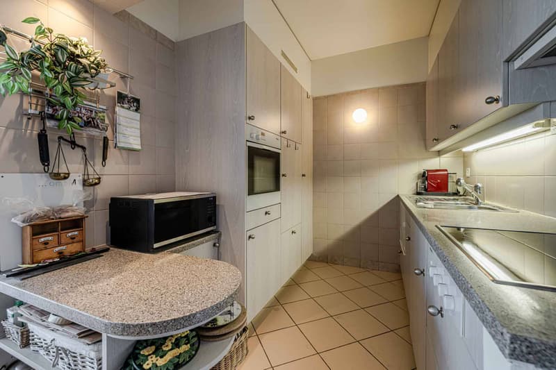 Appartement 1,5 pièce à vendre Avenue de Budé, Genève (5)