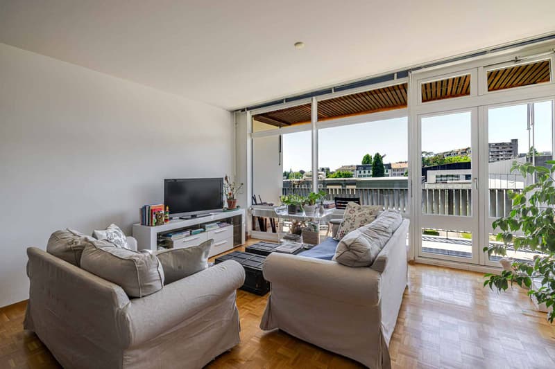 Appartement 1,5 pièce à vendre Avenue de Budé, Genève (1)